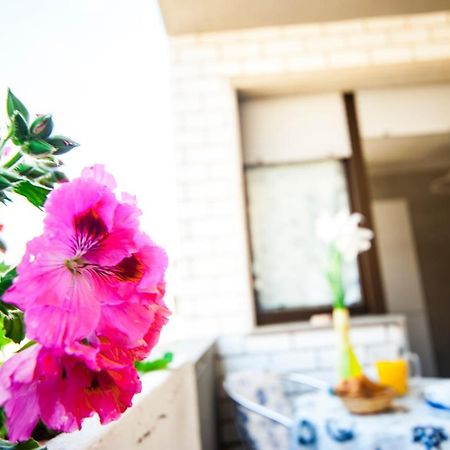 B & B Brisa Del Mar Alghero Eksteriør bilde
